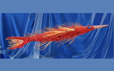 Gwyneth Melling – Royal School of Needlework Graduate