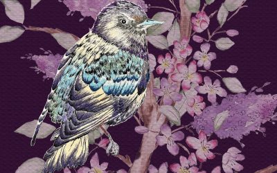 Kiara Johnson – Bath Spa University Graduate