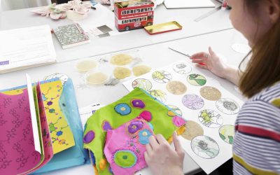 Textile Graduate Showcase